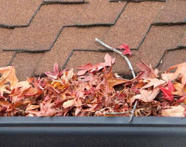 fermez-vous-sur-la-gouttière-de-pluie-obstruée-avec-des-feuilles-et-débris-134532194